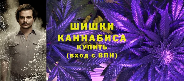 индика Лиски