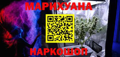 прущие крисы Аргун