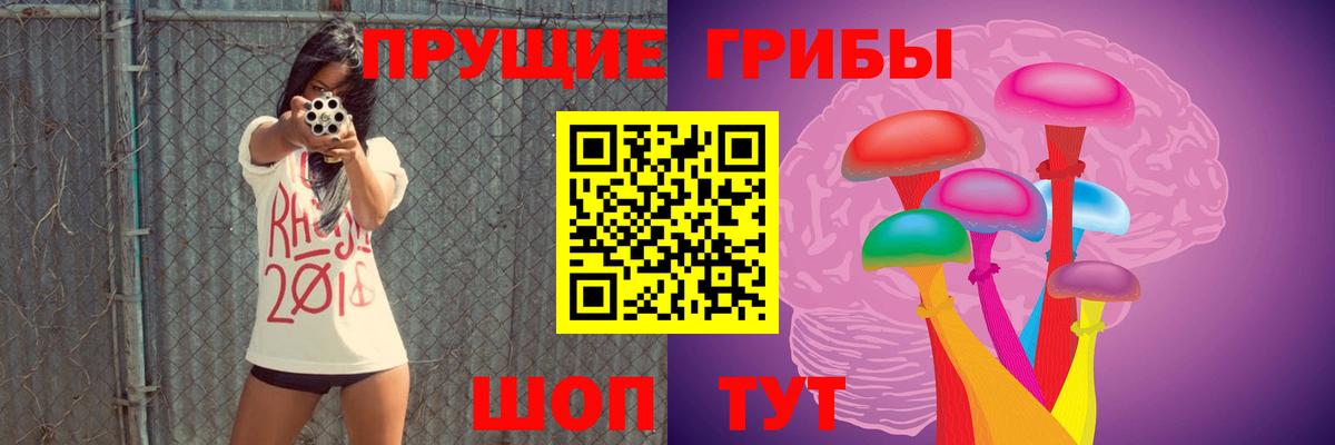 Псилоцибиновые грибы GOLDEN TEACHER Бердск