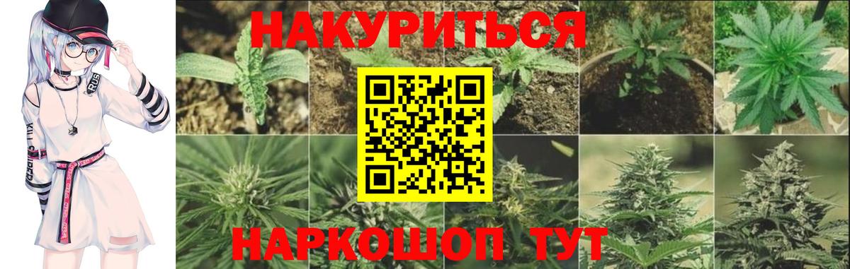 Каннабис Bruce Banner  Бердск  Бошки марихуана марихуана  МАРИХУАНА гибрид 